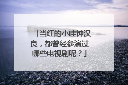 当红的小哇钟汉良,都曾经参演过哪些电视剧呢?