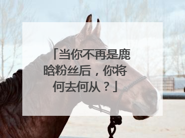 当你不再是鹿晗粉丝后,你将何去何从?
