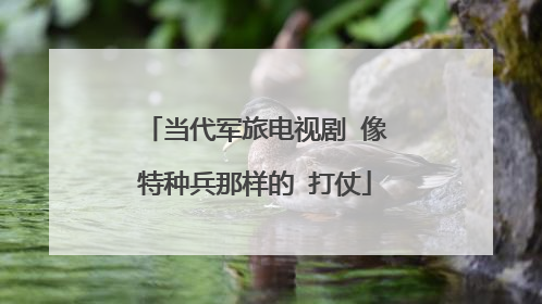 当代军旅电视剧 像特种兵那样的 打仗