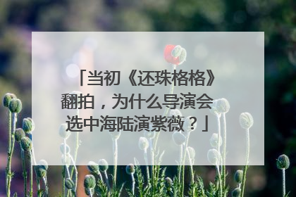 当初《还珠格格》翻拍，为什么导演会选中海陆演紫薇？