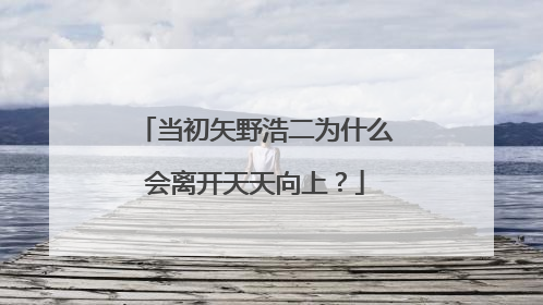 当初矢野浩二为什么会离开天天向上？