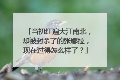 当初红遍大江南北,却被封杀了的张娜拉,现在过得怎么样了?