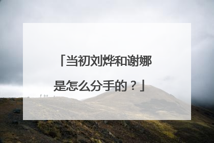 当初刘烨和谢娜是怎么分手的?