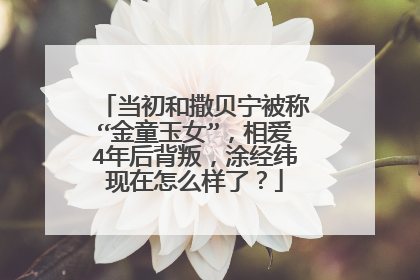 当初和撒贝宁被称“金童玉女”，相爱4年后背叛，涂经纬现在怎么样了？