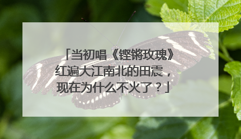 当初唱《铿锵玫瑰》红遍大江南北的田震,现在为什么不火了?