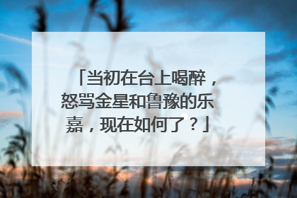 当初在台上喝醉，怒骂金星和鲁豫的乐嘉，现在如何了？