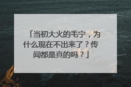 当初大火的毛宁，为什么现在不出来了？传闻都是真的吗？