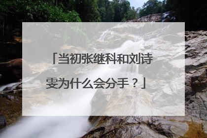 当初张继科和刘诗雯为什么会分手?