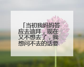 当初我妈妈答应去迪拜,现在又不想去了,我想问不去的话要陪5千多吗