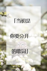 当初是你要分开的歌词
