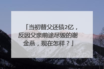 当初替父还债2亿，反因父亲前途尽毁的谢金燕，现在怎样？