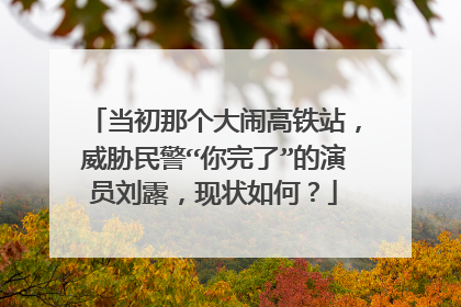 当初那个大闹高铁站,威胁民警“你完了”的演员刘露,现状如何?