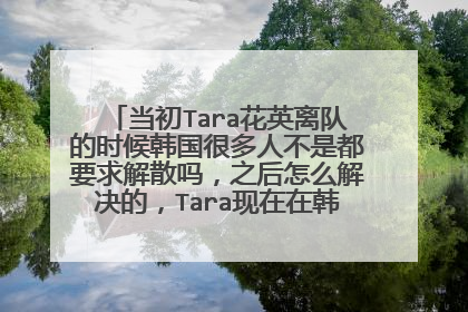 当初Tara花英离队的时候韩国很多人不是都要求解散吗,之后怎么解决的,Tara现在在韩国的口碑怎么样了?