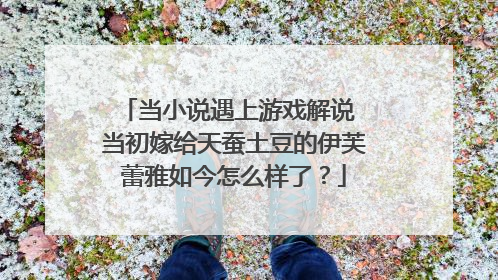 当小说遇上游戏解说 当初嫁给天蚕土豆的伊芙蕾雅如今怎么样了？