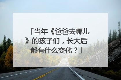当年《爸爸去哪儿》的孩子们，长大后都有什么变化？