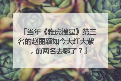 当年《雅虎搜星》第三名的赵丽颖如今大红大紫，前两名去哪了？