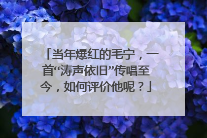 当年爆红的毛宁，一首“涛声依旧”传唱至今，如何评价他呢？