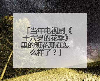 当年电视剧《十六岁的花季》里的班花现在怎么样了？