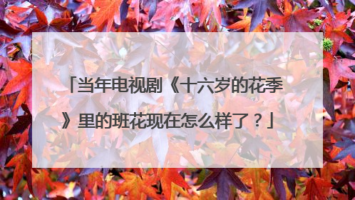 当年电视剧《十六岁的花季》里的班花现在怎么样了?