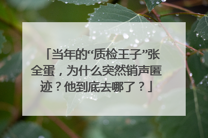 当年的“质检王子”张全蛋，为什么突然销声匿迹？他到底去哪了？