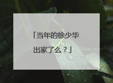 当年的徐少华出家了么?