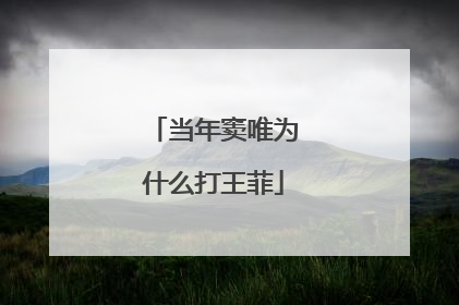 当年窦唯为什么打王菲