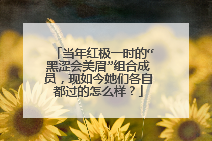 当年红极一时的“黑涩会美眉”组合成员,现如今她们各自都过的怎么样?