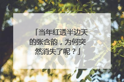 当年红透半边天的张含韵,为何突然消失了呢?