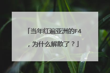 当年红遍亚洲的F4，为什么解散了？