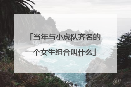 当年与小虎队齐名的一个女生组合叫什么