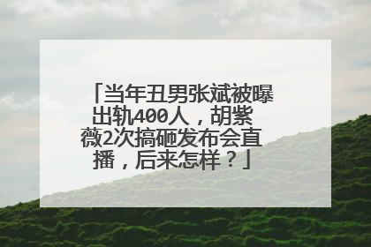 当年丑男张斌被曝出轨400人,胡紫薇2次搞砸发布会直播,后来怎样?