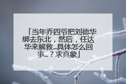 当年乔四爷把刘德华绑去东北，然后，任达华来解救…具体怎么回事…？求真象