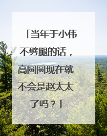 当年于小伟不劈腿的话，高圆圆现在就不会是赵太太了吗？