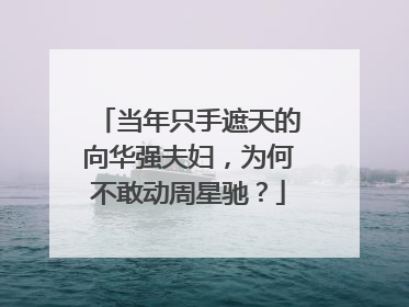当年只手遮天的向华强夫妇,为何不敢动周星驰?