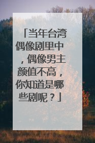 当年台湾偶像剧里中，偶像男主颜值不高，你知道是哪些剧呢？