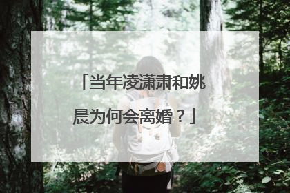 当年凌潇肃和姚晨为何会离婚？