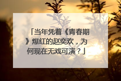 当年凭着《青春期》爆红的赵奕欢，为何现在无戏可演？