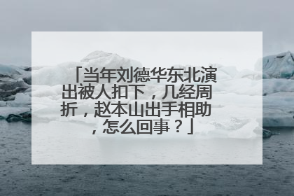当年刘德华东北演出被人扣下，几经周折，赵本山出手相助，怎么回事？