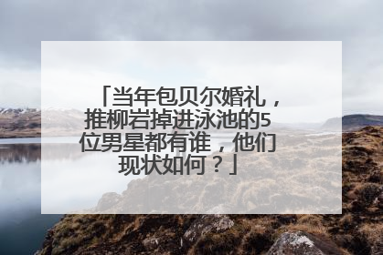 当年包贝尔婚礼,推柳岩掉进泳池的5位男星都有谁,他们现状如何?
