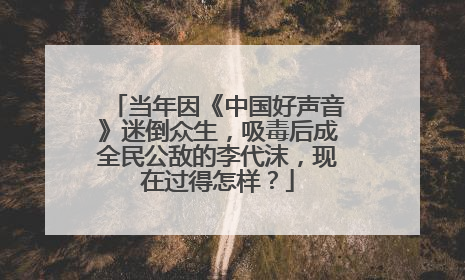 当年因《中国好声音》迷倒众生，吸毒后成全民公敌的李代沫，现在过得怎样？