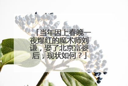 当年因上春晚一夜爆红的魔术师刘谦,娶了北京富婆后,现状如何?