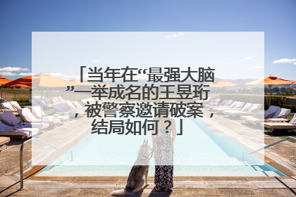 当年在“最强大脑”一举成名的王昱珩，被警察邀请破案，结局如何？