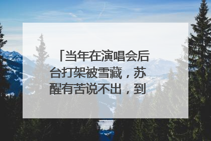 当年在演唱会后台打架被雪藏，苏醒有苦说不出，到底发生了什么？