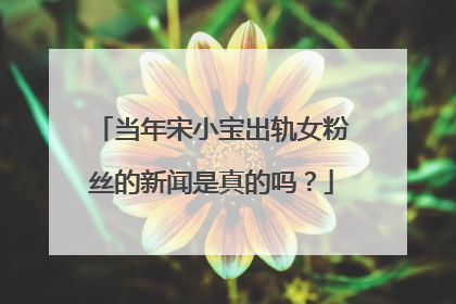 当年宋小宝出轨女粉丝的新闻是真的吗？