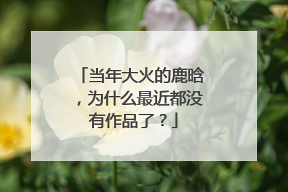 当年大火的鹿晗，为什么最近都没有作品了？