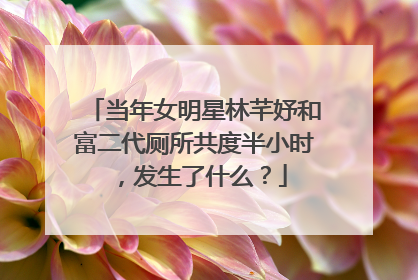 当年女明星林芊妤和富二代厕所共度半小时,发生了什么?