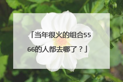当年很火的组合5566的人都去哪了？