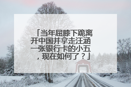 当年屈膝下跪离开中国并拿走汪涵一张银行卡的小五，现在如何了？