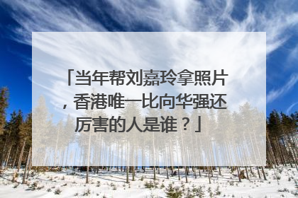 当年帮刘嘉玲拿照片，香港唯一比向华强还厉害的人是谁？