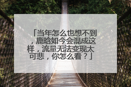 当年怎么也想不到，鹿晗如今会混成这样，流量无法变现太可悲，你怎么看？